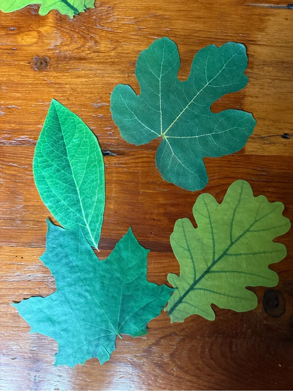 🍃 New Green Leaf Decorative Parchment for Plate & Table